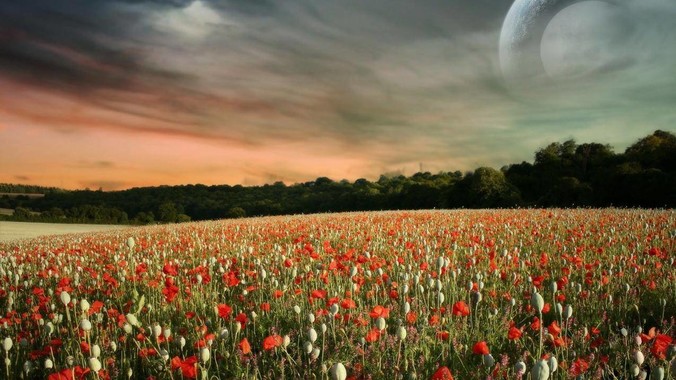 鸿蒙电脑会在国内逐渐取代windows电脑吗？